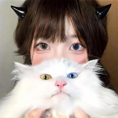 党小组长